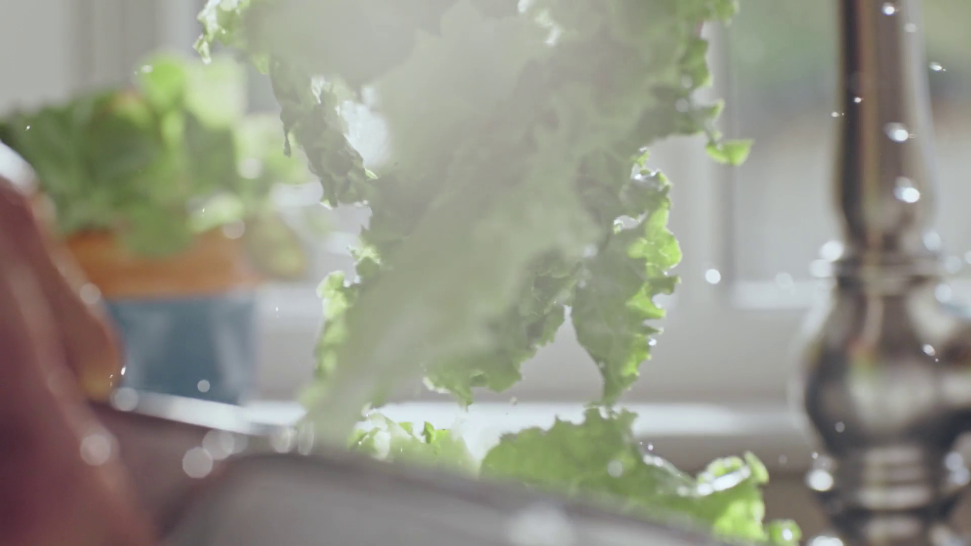 Dietz and Watson – Quality | commercial