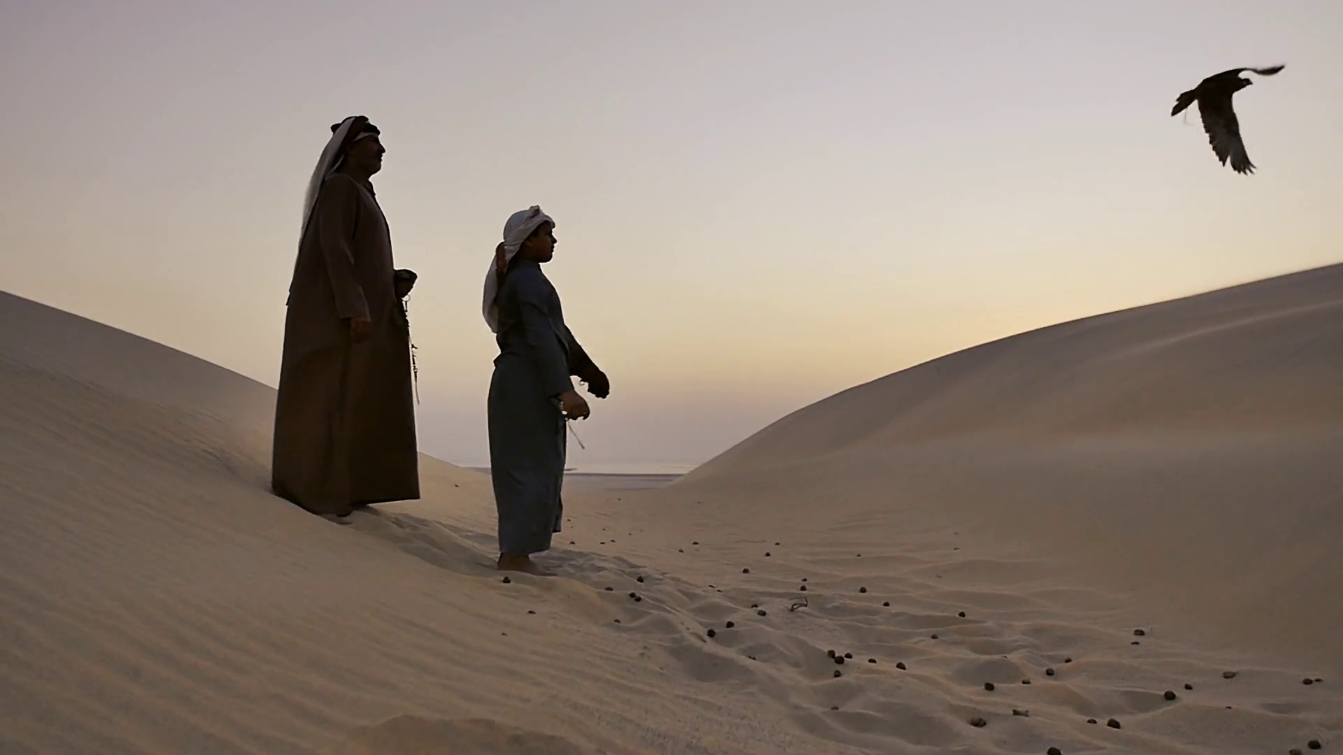 Qatar Tourism – Essence of Qatar | cinematic