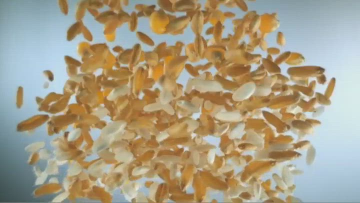 Misura – Biscotti | slow-motion