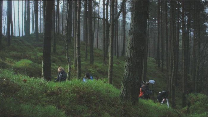 Regatta – Forest | ident