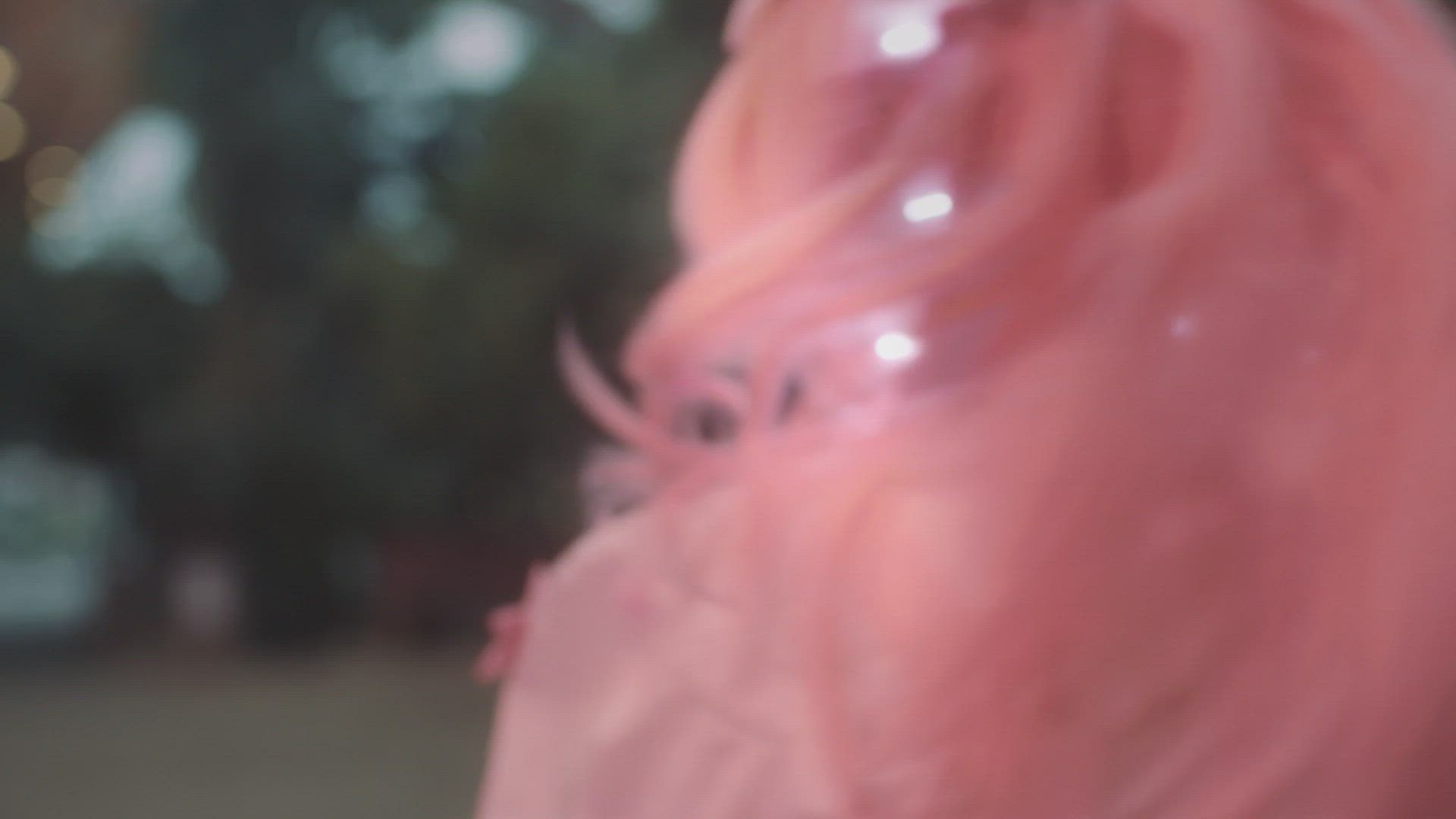 Hallam_TVC_ONLINE_WEBSITE LOOP.mp4 | Sohosoho Clips