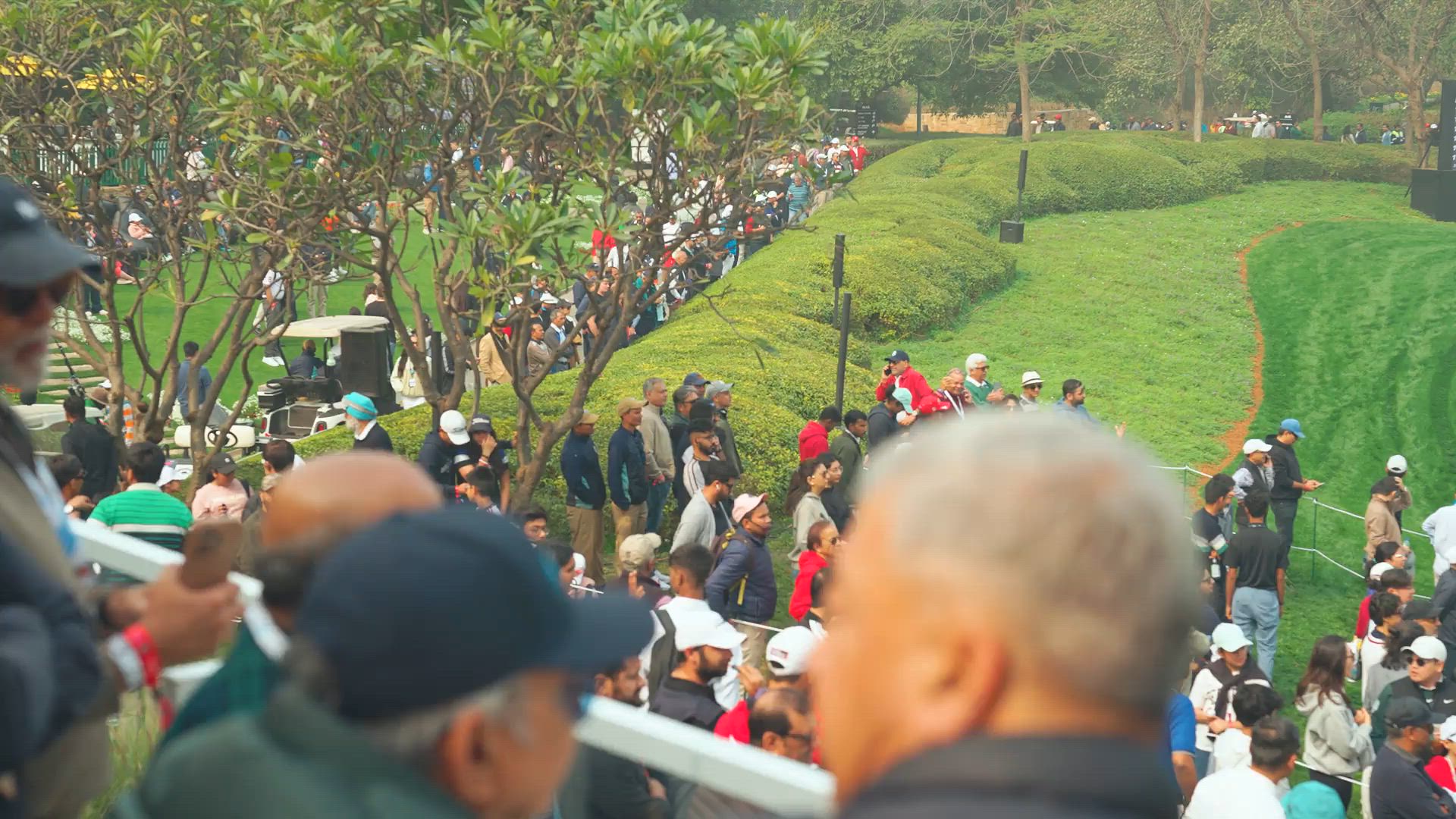 International Series India – Dahlias Edit | Sohosoho Clips