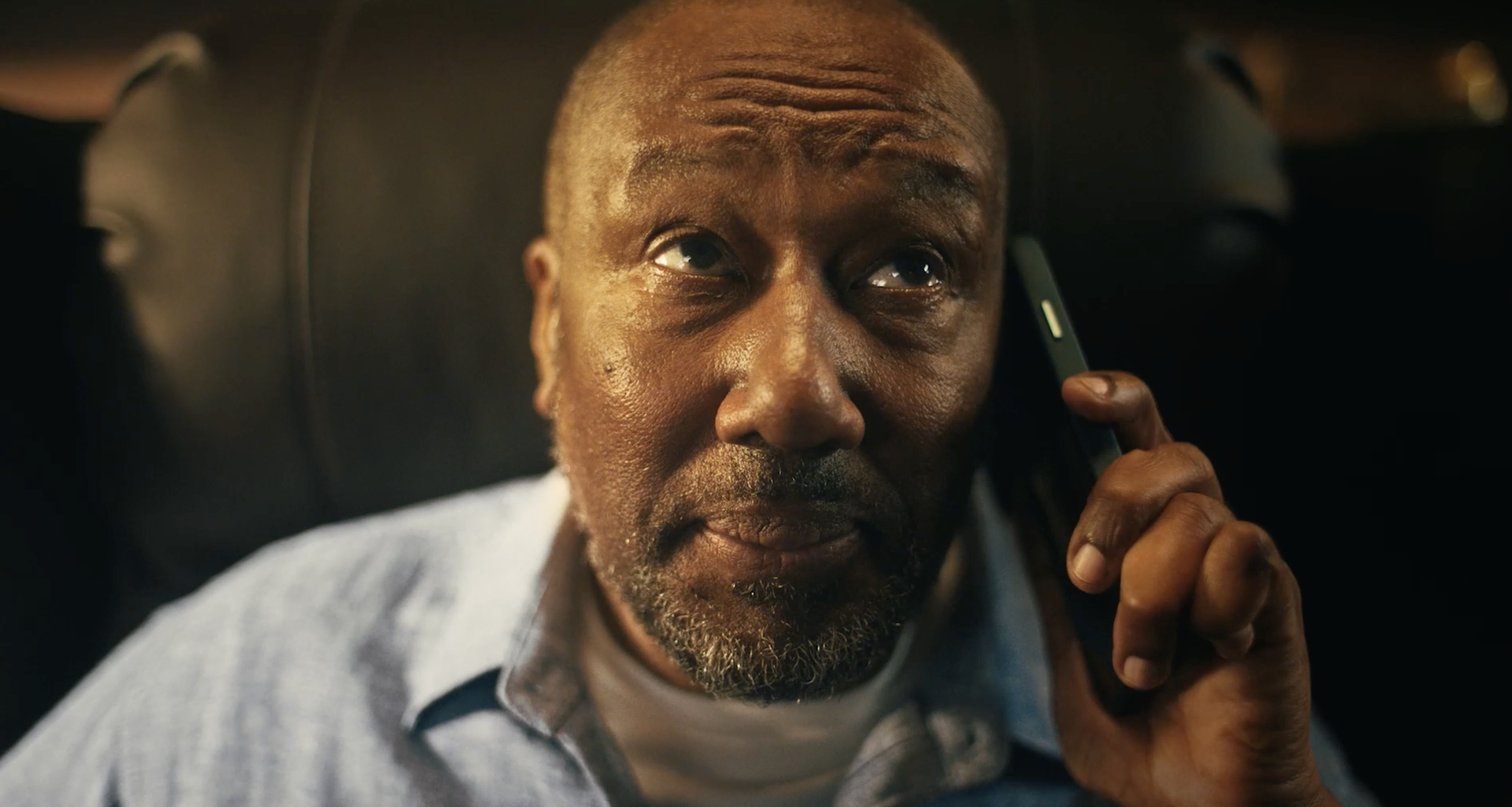 Cotton Traders – Shed | fashion