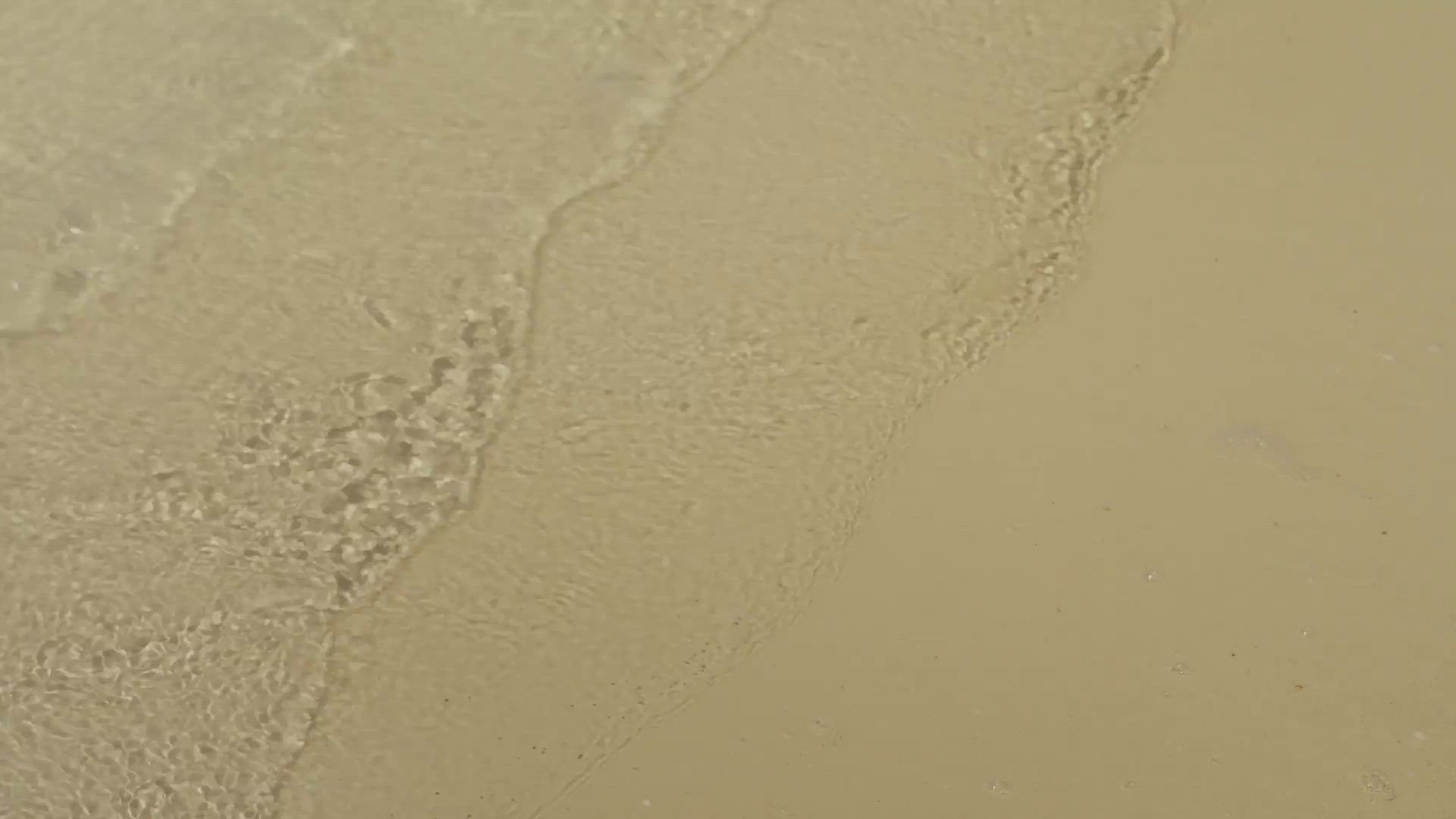 Red Sea Classic Cup – Teaser | Sohosoho Clips