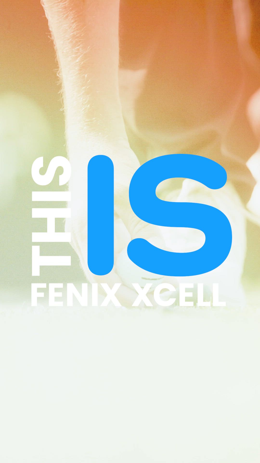 International Series Macau 2025 – Fenix Clothing Reel | fashion