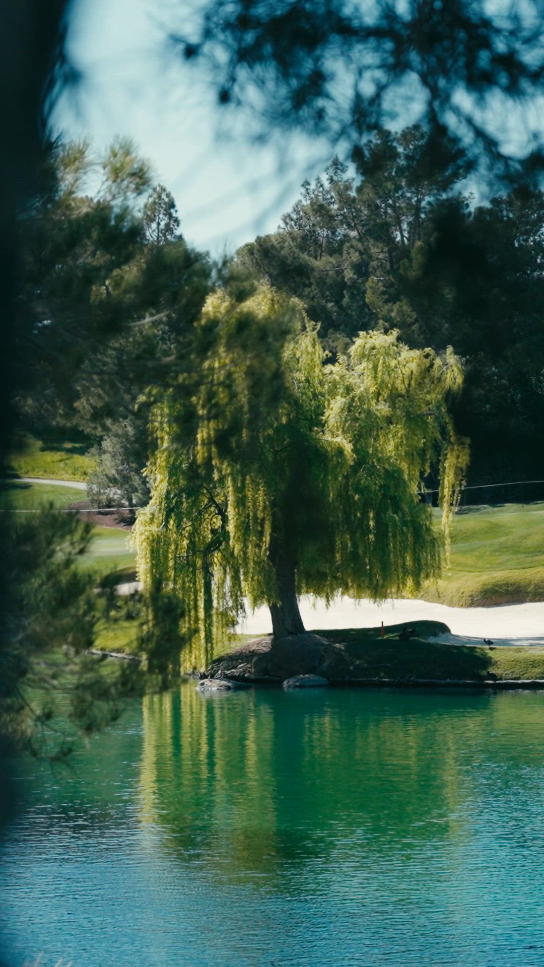 PIF Global Series Las Vegas 2026 – Golf Saudi Ambassadors Reel | Mob Content Team